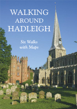 Walking Hadleigh
