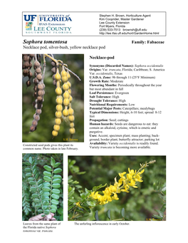 Sophora Tomentosa Family: Fabaceae Necklace Pod, Silver-Bush, Yellow Necklace Pod