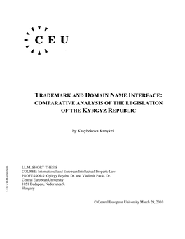 Trademark and Domain Name Interface