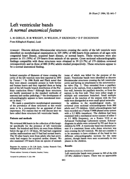 Left Ventricular Bands a Normal Anatomical Feature