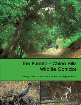 The Puente - Chino Hills Wildlife Corridor