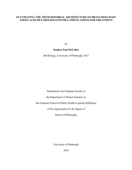 Elucidating the Mitochondrial Architecture of Branched-Chain Amino Acid Metabolism Enzymes: Implications for Treatment