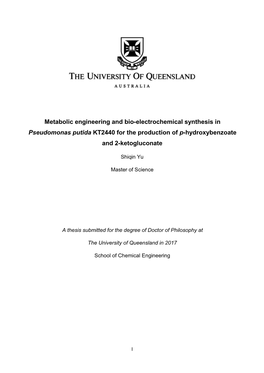 Metabolic Engineering and Bio-Electrochemical Synthesis in Pseudomonas Putida KT2440 for the Production of P-Hydroxybenzoate and 2-Ketogluconate