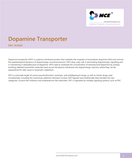 Dopamine Transporter DAT; SLC6A3