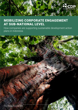 MOBILIZING CORPORATE ENGAGEMENT at SUB-NATIONAL LEVEL How Companies Are Supporting Sustainable Development Action Plans in Indonesia