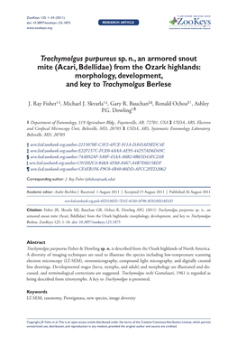 Trachymolgus Purpureus Sp. N., an Armored Snout Mite (Acari, Bdellidae) from the Ozark Highlands: Morphology, Development, and Key to Trachymolgus Berlese