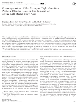 Overexpression of the Xenopus Tight-Junction Protein Claudin Causes Randomization of the Left–Right Body Axis