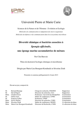 Université Pierre Et Marie Curie