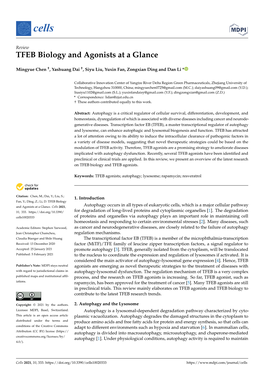 TFEB Biology and Agonists at a Glance