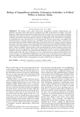 Biology of Trypophloeus Striatulus (Coleoptera: Scolytidae) in Feltleaf Willow in Interior Alaska