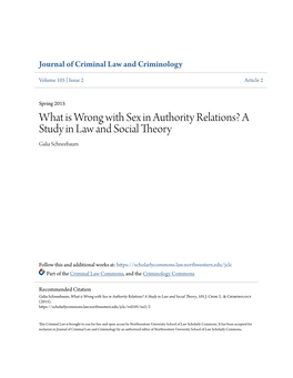 What Is Wrong with Sex in Authority Relations? a Study in Law and Social Theory Galia Schneebaum