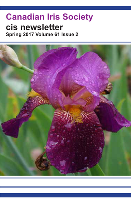 Iris Cristata