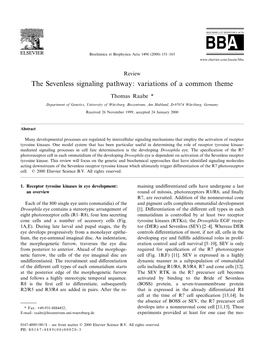 The Sevenless Signaling Pathway: Variations of a Common Theme