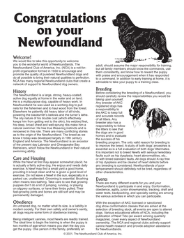 Congratulations on Your Newfoundland