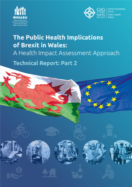 The Public Health Implications of Brexit in Wales: a Health Impact