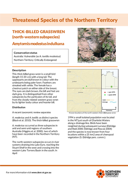 THICK-BILLED GRASSWREN (North-Western Subspecies) Amytornis Modestus Indulkana