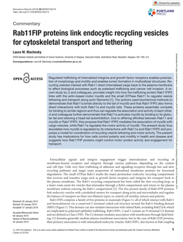 Rab11fip Proteins Link Endocytic Recycling Vesicles for Cytoskeletal Transport and Tethering