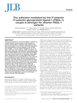 The Adhesion Mediated by the P-Selectin P–Selectin Glycoprotein Ligand-1 (PSGL-1) Couple Is Stronger for Shorter PSGL-1 Varian