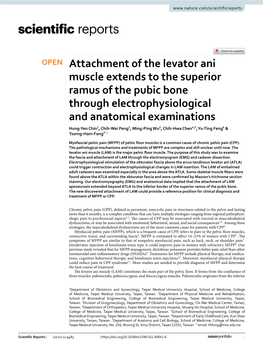 Attachment of the Levator Ani Muscle Extends to the Superior Ramus of the Pubic Bone Through Electrophysiological and Anatomical