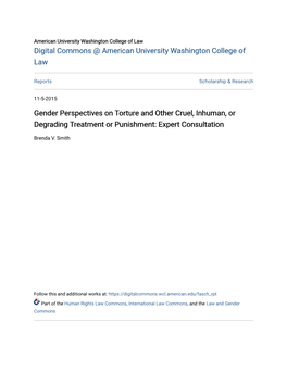 Gender Perspectives on Torture and Other Cruel, Inhuman, Or Degrading Treatment Or Punishment: Expert Consultation