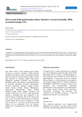 First Record of the Painted Spiny Lobster Panulirus Versicolor (Latrielle, 1804) in Coastal Georgia, USA