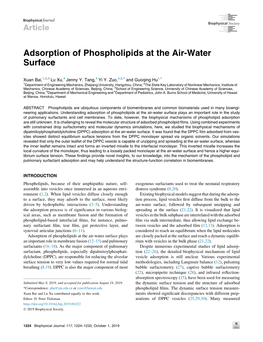 Adsorption of Phospholipids at the Air-Water Surface