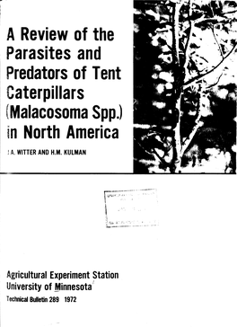 Malacosoma Spp.) in North America