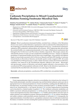 Carbonate Precipitation in Mixed Cyanobacterial Biofilms Forming Freshwater Microbial Tufa