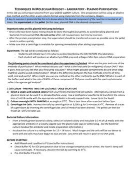 Techniques in Molecular Biology – Laboratory -‐ Plasmid Purification