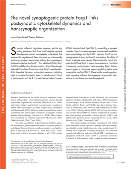 The Novel Synaptogenic Protein Farp1 Links Postsynaptic Cytoskeletal Dynamics and Transsynaptic Organization