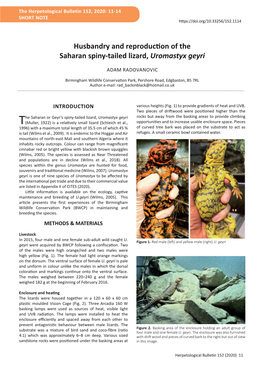 Husbandry and Reproduction of the Saharan Spiny-Tailed Lizard, Uromastyx Geyri