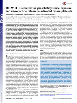 TMEM16F Is Required for Phosphatidylserine Exposure and Microparticle Release in Activated Mouse Platelets