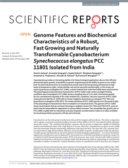 Genome Features and Biochemical Characteristics of a Robust, Fast