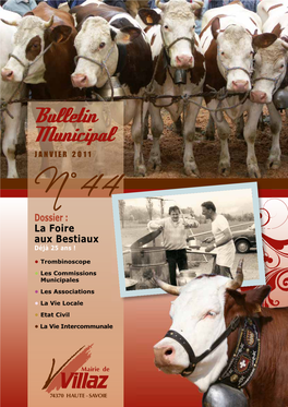 Bulletin Municipal JANVIER 2011