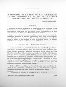 A Proposito De La Edad De Las Formaciones Escolin, Coatzintla Y Tuxpan De La Cuenca Sedimentaria De Tampico — Misantla