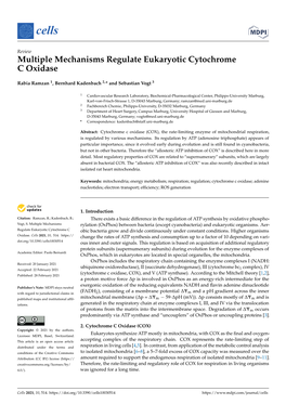 Multiple Mechanisms Regulate Eukaryotic Cytochrome C Oxidase