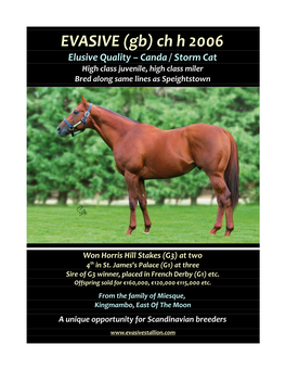 EVASIVE (Gb) Ch H 2006 Elusive Quality – Canda / Storm Cat High Class Juvenile, High Class Miler Bred Along Same Lines As Speightstown