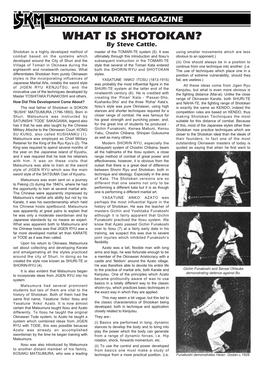 WHAT IS SHOTOKAN? by Steve Cattle