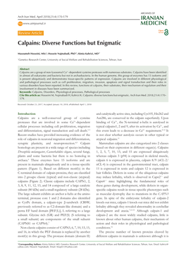 Calpains: Diverse Functions but Enigmatic