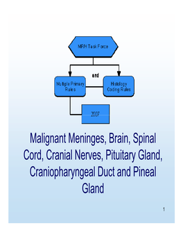 MP/H Rules Presentation