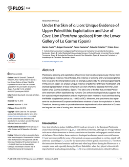 Under the Skin of a Lion: Unique Evidence of Upper Paleolithic Exploitation and Use of Cave Lion (Panthera Spelaea) from the Lower Gallery of La Garma (Spain)