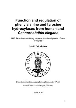Function and Regulation of Phenylalanine and Tyrosine Hydroxylases from Human and Caenorhabditis Elegans