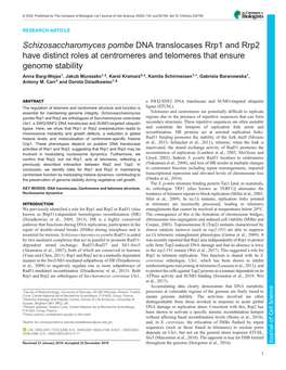 DNA Translocases Rrp1 and Rrp2 Have Distinct