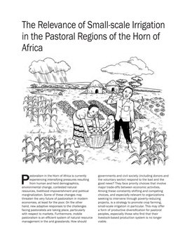 The Relevance of Small-Scale Irrigation in the Pastoral Regions of the Horn of Africa