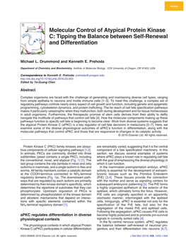 Molecular Control of Atypical Protein Kinase C: Tipping the Balance Between Self-Renewal and Differentiation