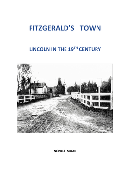 Fitzgerald's Town