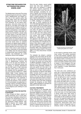 STONE PINE ORCHARDS for NUT PRODUCTION: Which, Where, How?