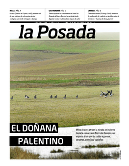 El Doñana Palentino