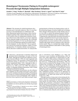 Homologous Chromosome Pairing in Drosophila Melanogaster Proceeds Through Multiple Independent Initiations Jennifer C