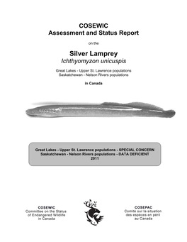 Silver Lamprey (Ichthyomyzon Unicuspis) Is an Eel-Shaped Fish That Possesses a Sucking Disc Mouth